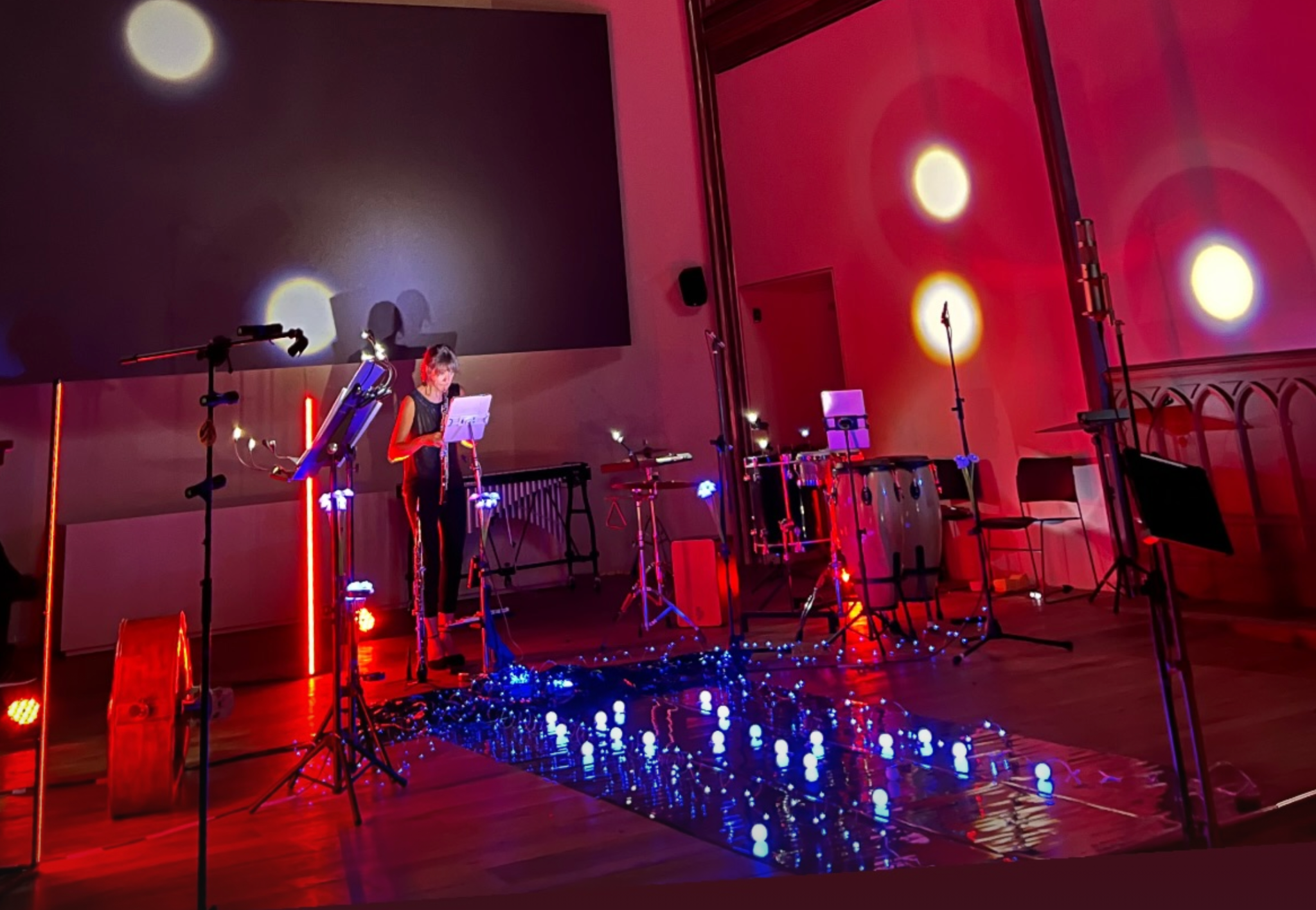 Pilar Fontalba performing restricted access, regulated body